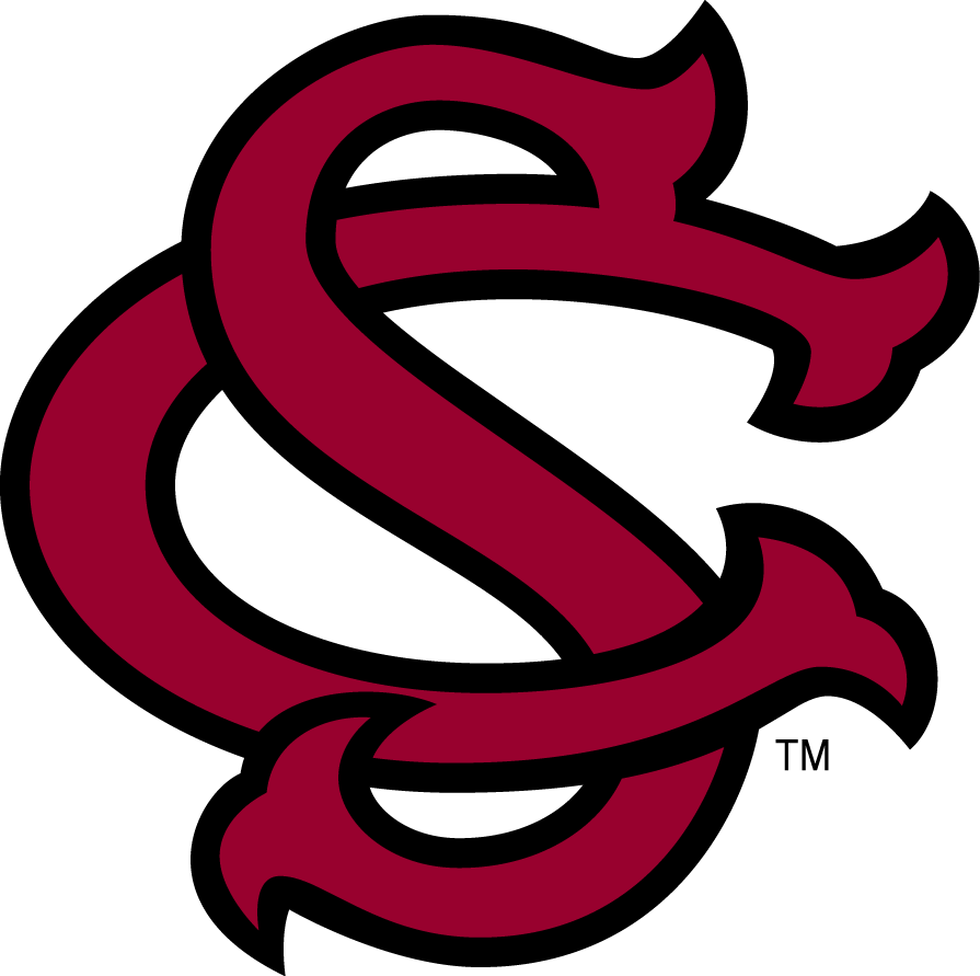 South Carolina Gamecocks 1993-Pres Alternate Logo v4 diy DTF decal sticker